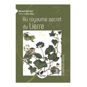Au royaume secret du Lierre