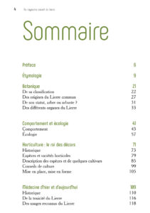 Au royaume secret du Lierre sommaire