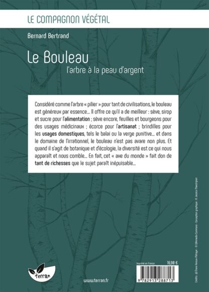 Le bouleau, l'arbre à la peau argent