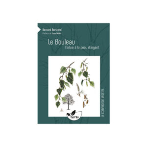 Le bouleau, l'arbre à la peau argent