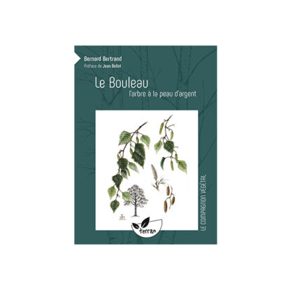 Le bouleau, l'arbre à la peau argent