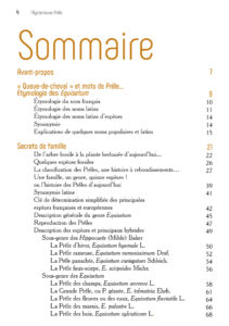 Mystérieuse Prêle sommaire 1