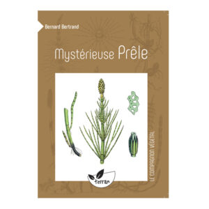 Mysterieuse prele