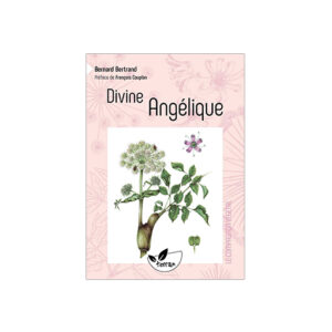 divine angélique
