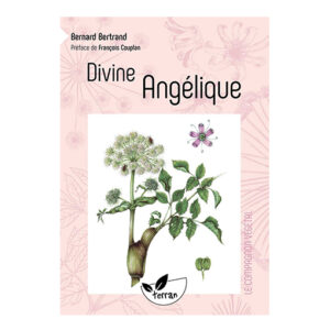Divine angélique