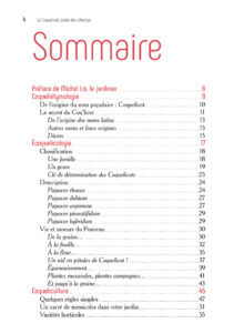 Coquelicot Sommaire
