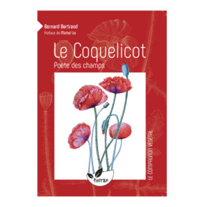 le coquelicot poète des champs