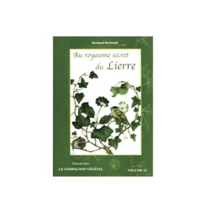 Au royaume du lierre