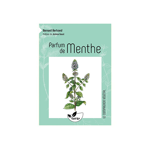 Parfum de menthe