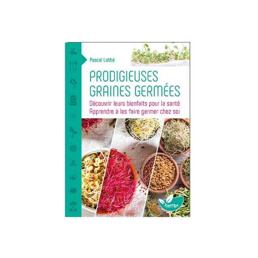 Tout savoir sur les graines germées : propriétés, modes de germination