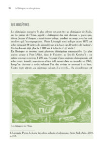 Le Châtaignier, un arbre généreux