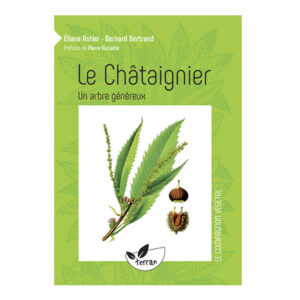 le châtaigner un arbre généreux