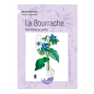 Compagnon végétal - BOURRACHE