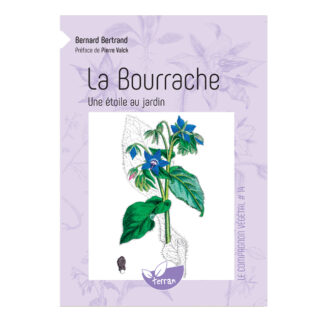 Compagnon végétal - BOURRACHE