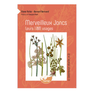 Compagnon végétal - JONC