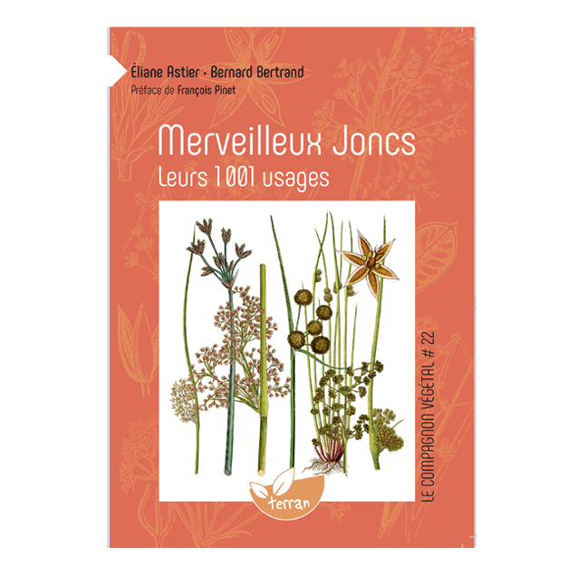 Compagnon végétal - JONC