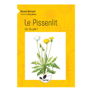 Compagnon végétal - PISSENLIT