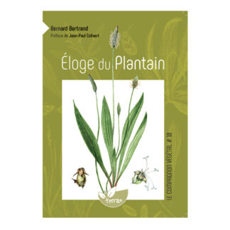 Compagnon végétal - PLANTAIN