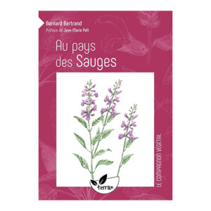 Au pays des songes