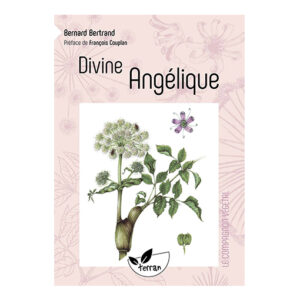 Divine angélique