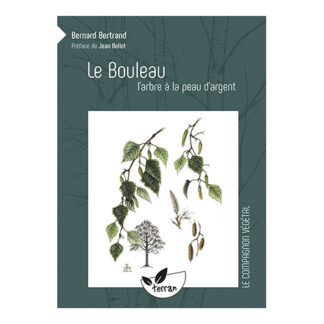 Le bouleau, arbre à la peau d'argent