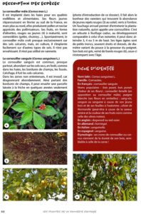 Cahier thématique plantes sauvages - vannerie