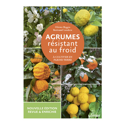 Agrumes résistant au froid