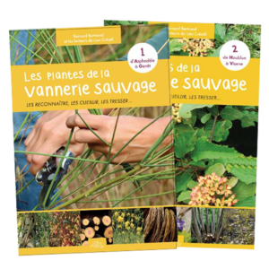 Les plantes de la vannerie sauvage 1-2