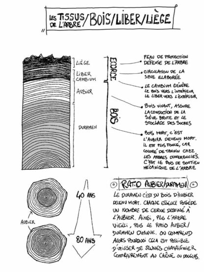 PETIT MANUEL DESSINÉ DU BOIS DE BRIN - Brunelle DALBAVIE 3