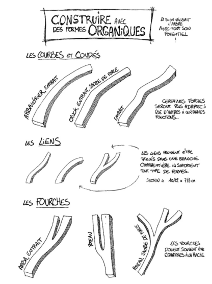 PETIT MANUEL DESSINÉ DU BOIS DE BRIN - Brunelle DALBAVIE 3