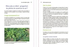 Engrais verts au jardin