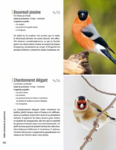 Créer un beau Jardin-refuge pour les oiseaux