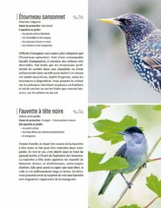 Créer un beau Jardin-refuge pour les oiseaux