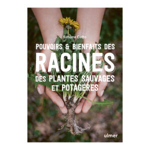 Racines sauvages