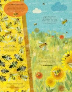 Des insectes par milliers 1