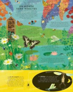 Des insectes par milliers 3