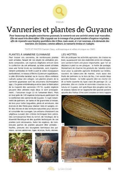 Le Lien Créatif n°52 - Les plantes créatives en écorces – Image 2