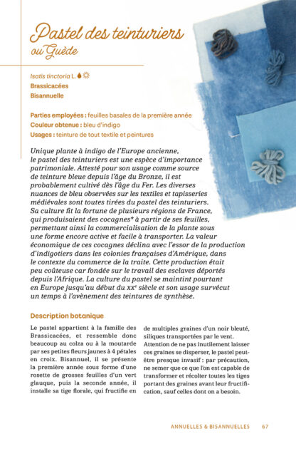 Cultiver les plantes tinctoriales - Extrait-2