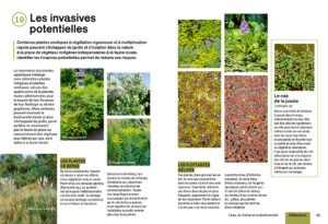 créer et aménager une mare