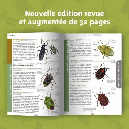 Le guide nature Les petites bêtes