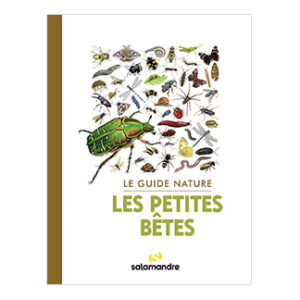 Le guide nature Les petites bêtes