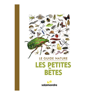Le guide nature Les petites bêtes