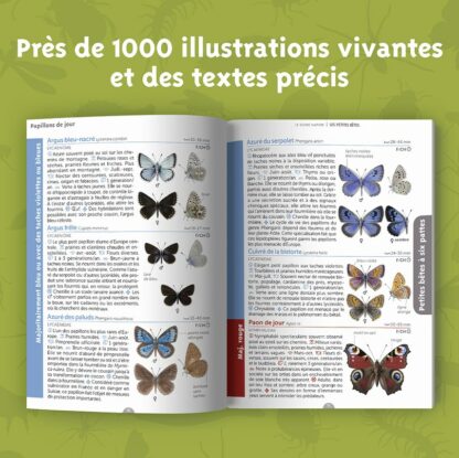 Le guide nature Les petites bêtes – Image 2