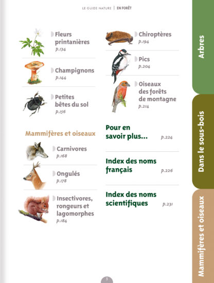 Guide nature en forêt - 3ème édition – Image 3