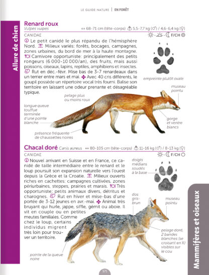 Guide nature en forêt - 3ème édition – Image 5