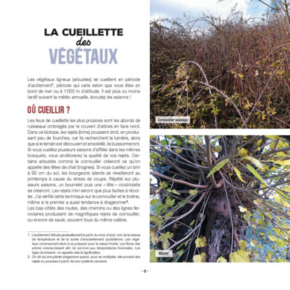 mes-creations-en-vannerie-sauvage_EXTRAIT