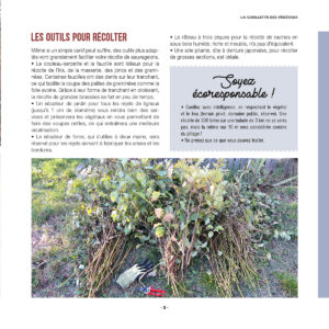 mes-creations-en-vannerie-sauvage_EXTRAIT