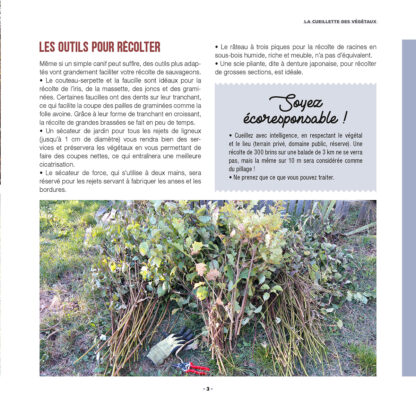 mes-creations-en-vannerie-sauvage_EXTRAIT