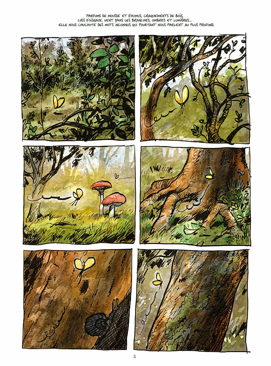 La vie secrète des arbres en BD