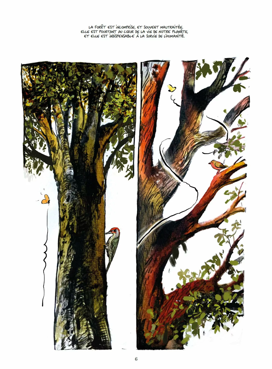 La vie secrète des arbres en BD